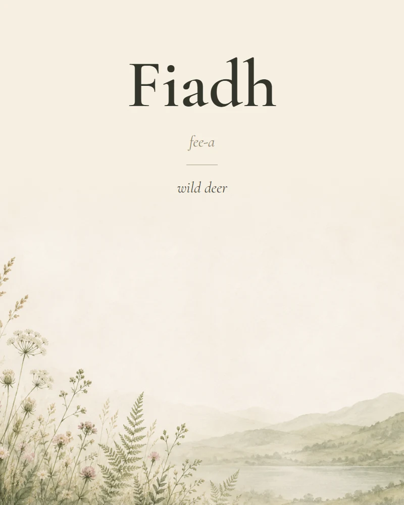 Fiadh Irish name print with pronunciation