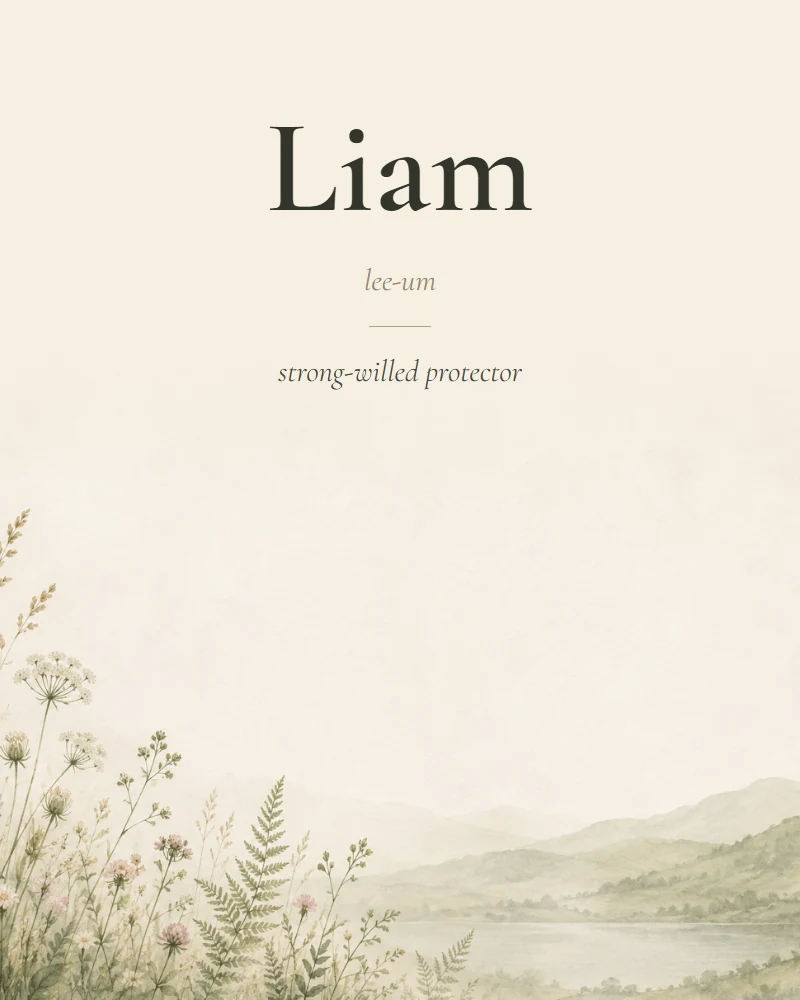 Liam Irish name print with pronunciation